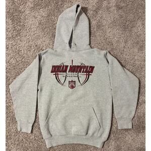 Indian Mountain Falcons Basketball Eagle USA Hoodie Mens Gray Y2K Sports - Small